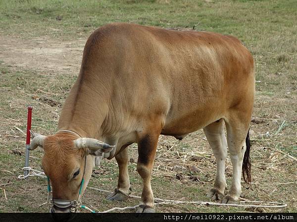 DSC00787.JPG DSC00787.JPG