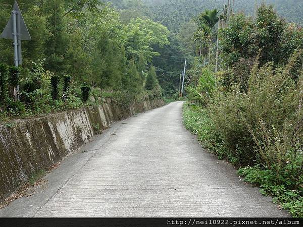 DSC00729.JPG DSC00729.JPG