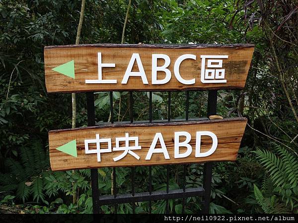 DSC00737.JPG DSC00737.JPG