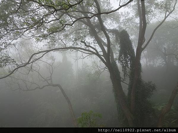 DSC00754.JPG DSC00754.JPG