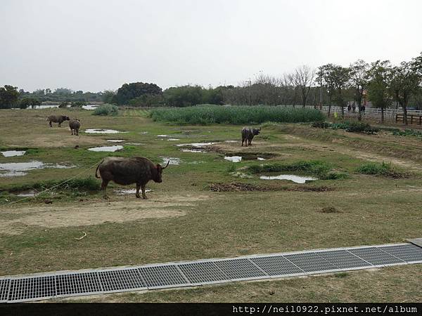 DSC00784.JPG DSC00784.JPG