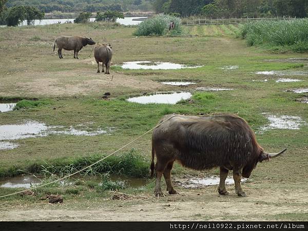 DSC00785.JPG DSC00785.JPG