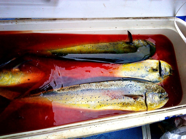 20100930DSC00129.JPG