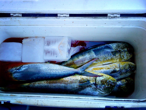 20100930DSC00128.JPG