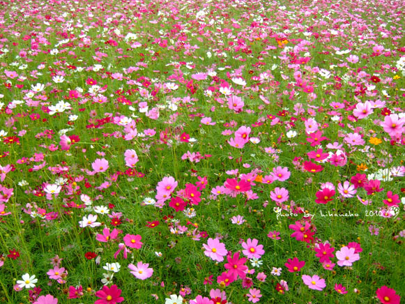 DSCF9369.jpg DSCF9369.jpg