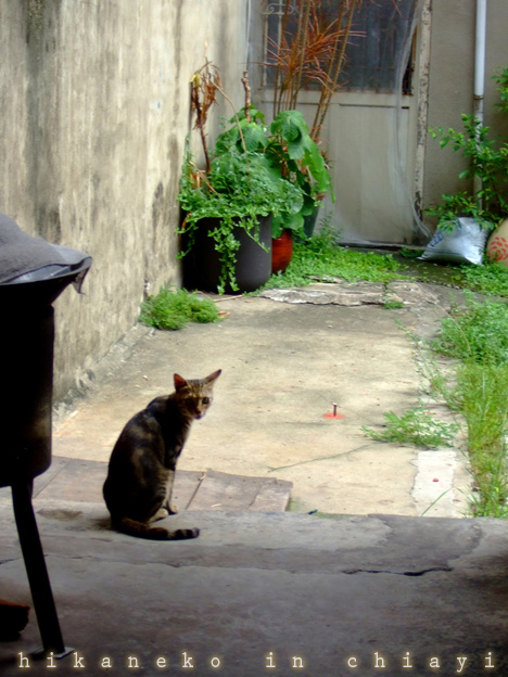 DSCF8693.jpg DSCF8693.jpg