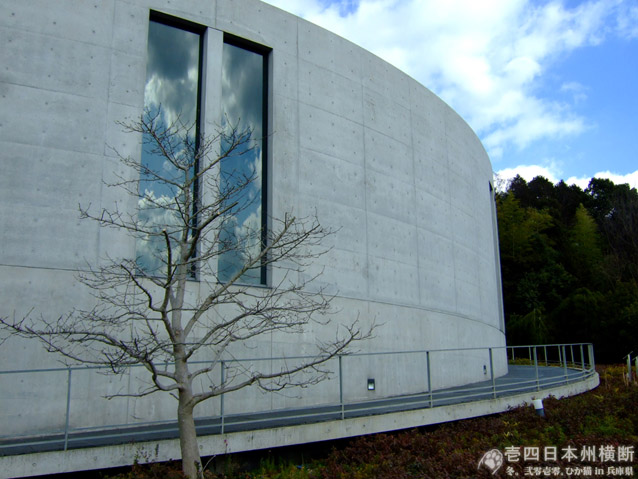 DSCF6465.jpg DSCF6465.jpg