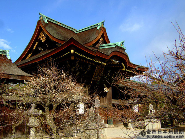 DSCF6719.jpg DSCF6719.jpg