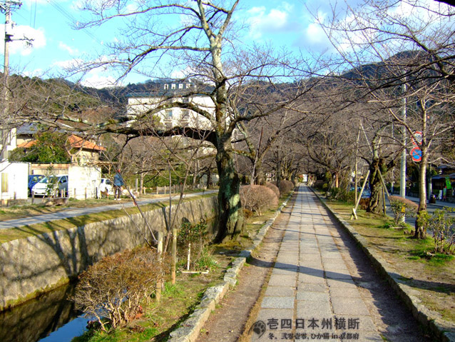 DSCF6764.jpg DSCF6764.jpg