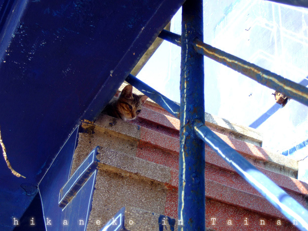DSCF8566.jpg DSCF8566.jpg