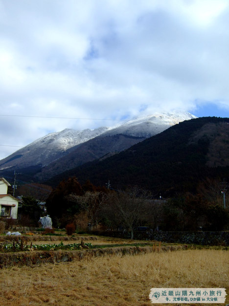 DSCF0514.jpg DSCF0514.jpg