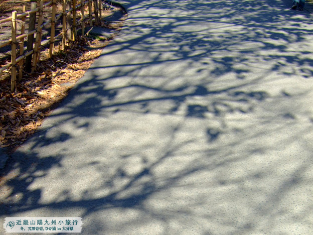 DSCF0548.jpg DSCF0548.jpg