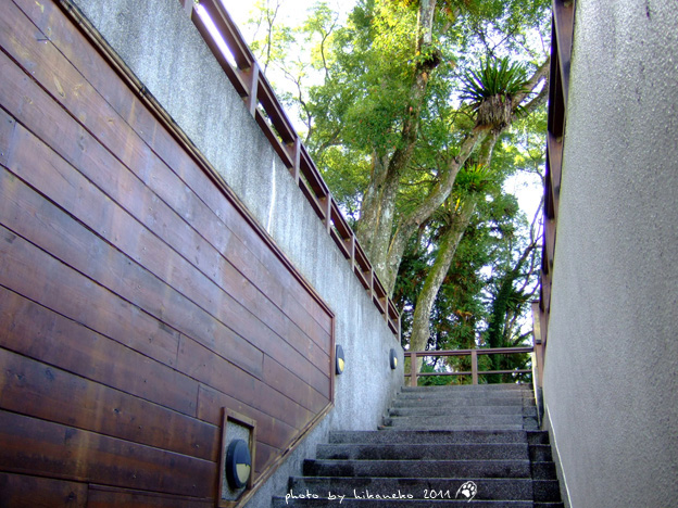DSCF3728.jpg DSCF3728.jpg