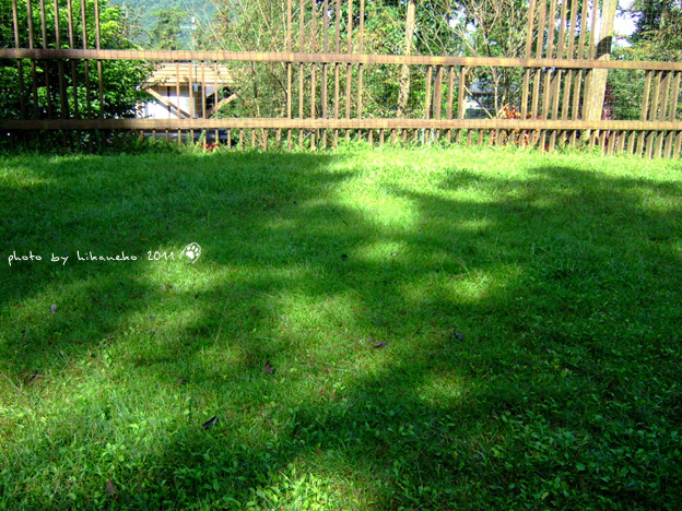 DSCF3769.jpg DSCF3769.jpg