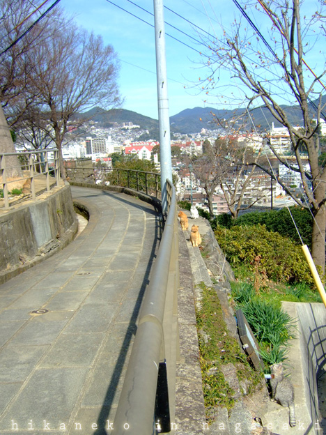 1-DSCF1167.jpg 1-DSCF1167.jpg