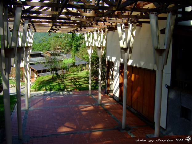 DSCF3746.jpg DSCF3746.jpg