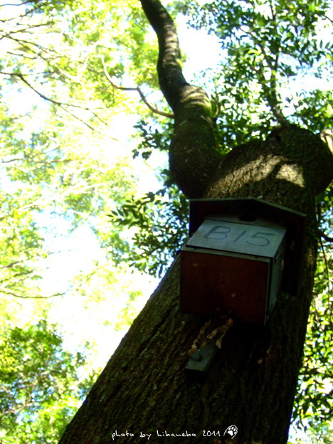DSCF4275.jpg DSCF4275.jpg