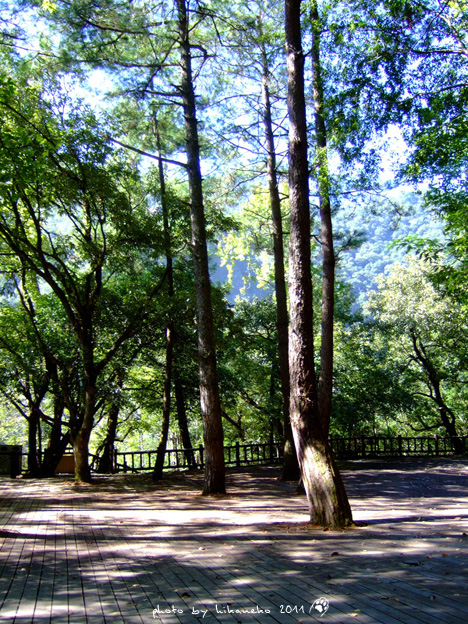 DSCF4290.jpg DSCF4290.jpg