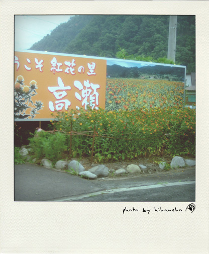 takase.jpg takase.jpg