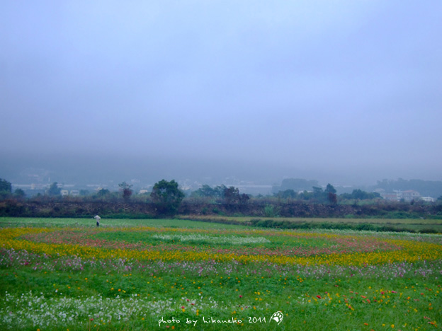 DSCF4689.jpg DSCF4689.jpg