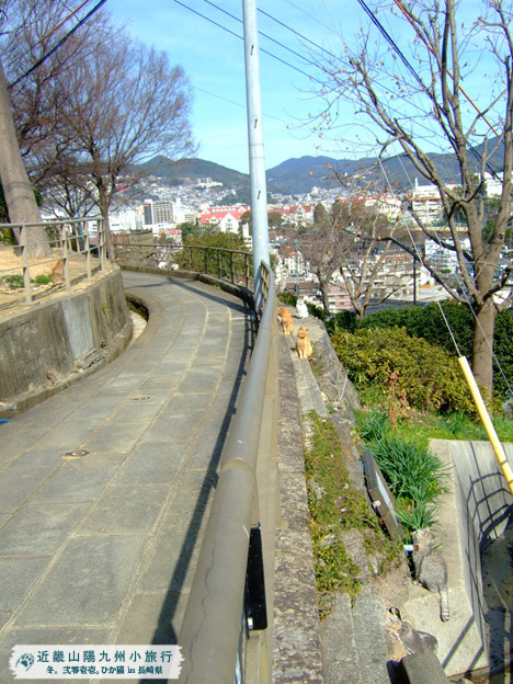 DSCF1167.jpg DSCF1167.jpg