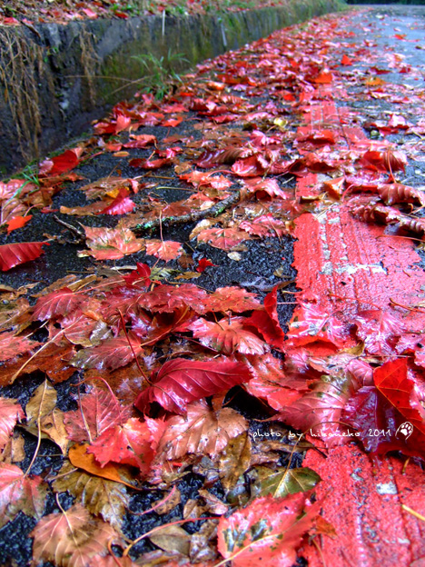 DSCF5123.jpg DSCF5123.jpg