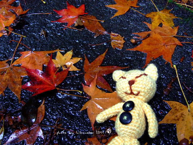DSCF5136.jpg DSCF5136.jpg