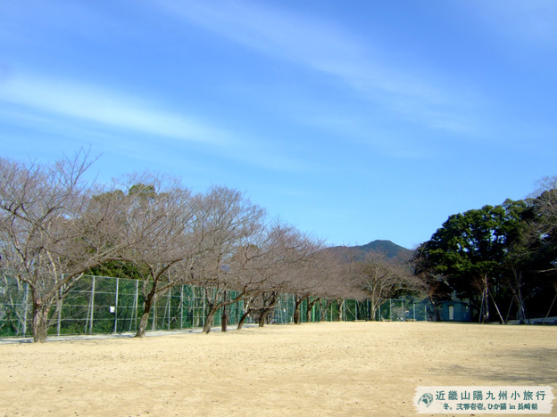DSCF1130.jpg DSCF1130.jpg