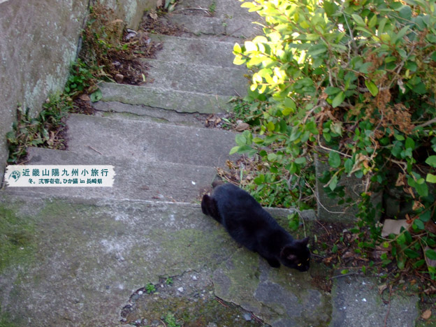 DSCF1144.jpg DSCF1144.jpg