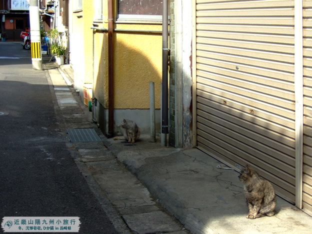 DSCF1155.jpg DSCF1155.jpg