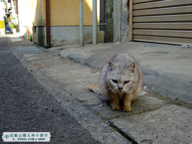 DSCF1160.jpg DSCF1160.jpg