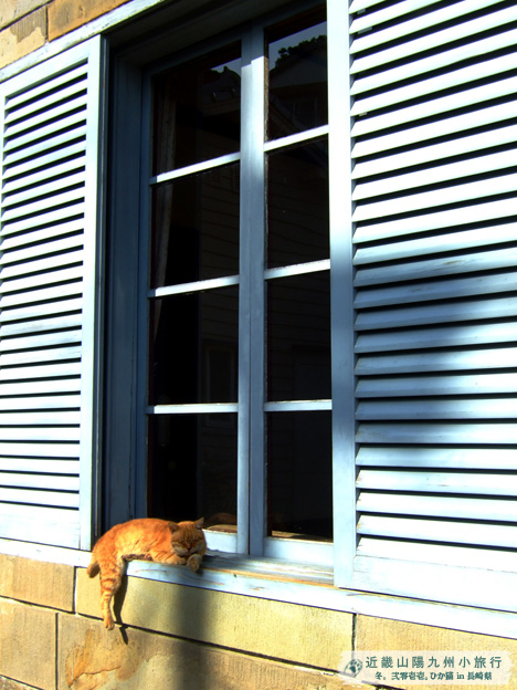 DSCF1175.jpg DSCF1175.jpg