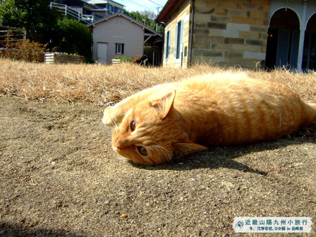 DSCF1183.jpg DSCF1183.jpg