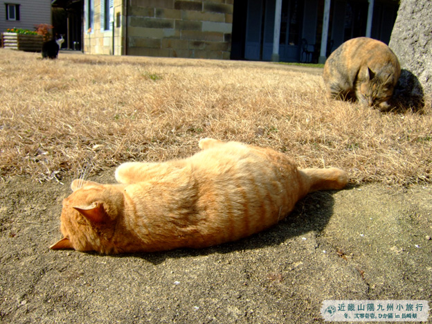 DSCF1180.jpg DSCF1180.jpg