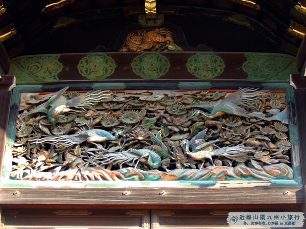 DSCF1787.jpg