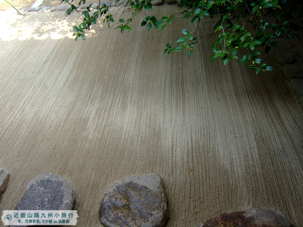 DSCF1851.jpg DSCF1851.jpg