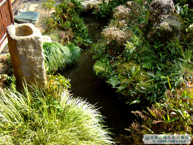 DSCF1887.jpg DSCF1887.jpg