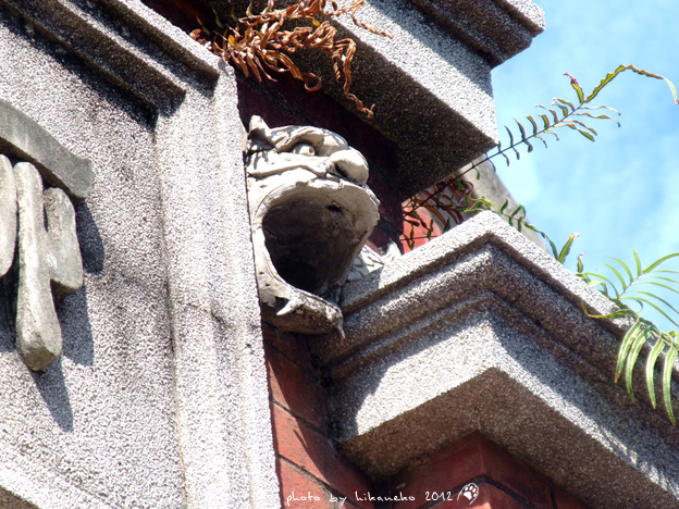 DSCF0114.jpg DSCF0114.jpg