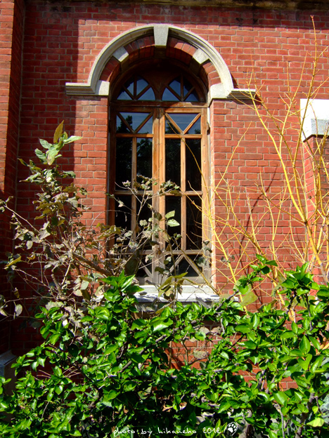 DSCF5604.jpg DSCF5604.jpg