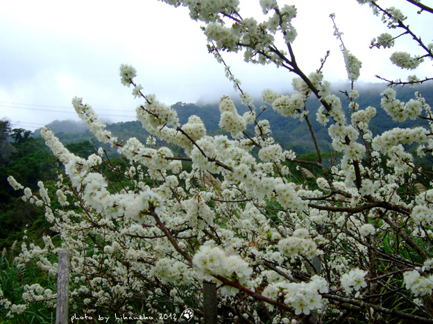 DSCF6177.jpg DSCF6177.jpg