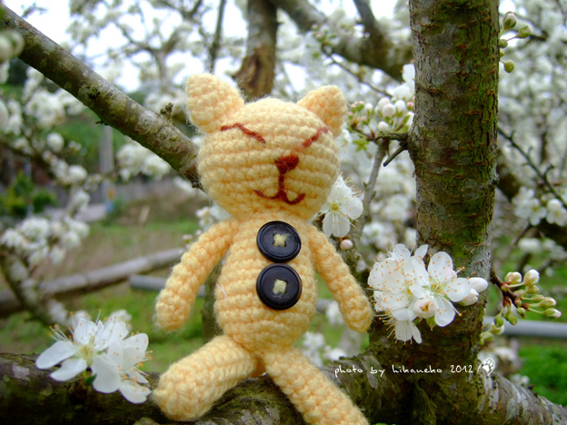 DSCF6178.jpg DSCF6178.jpg