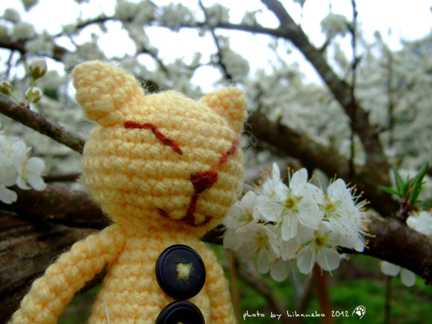 DSCF6201.jpg DSCF6201.jpg