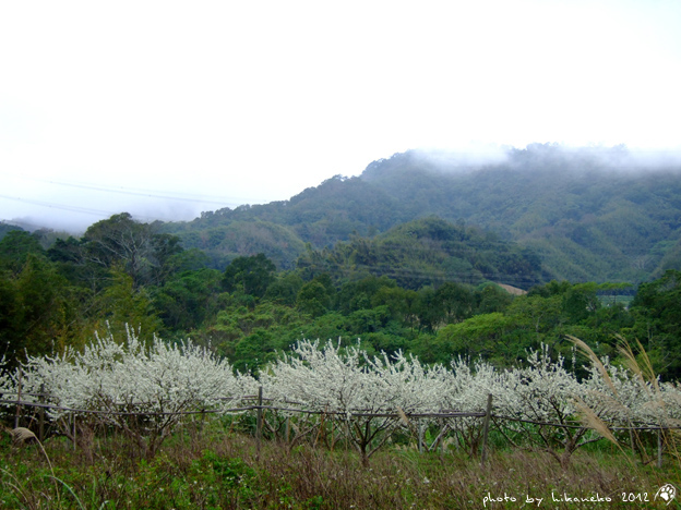 DSCF6214.jpg DSCF6214.jpg