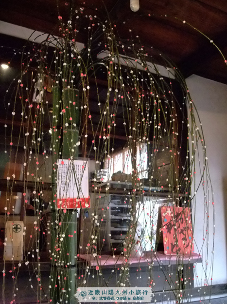 DSCF1156-2.jpg DSCF1156-2.jpg