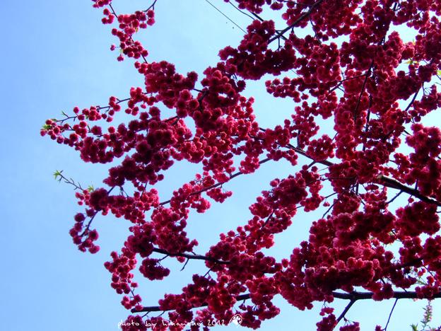 DSCF6384 DSCF6384