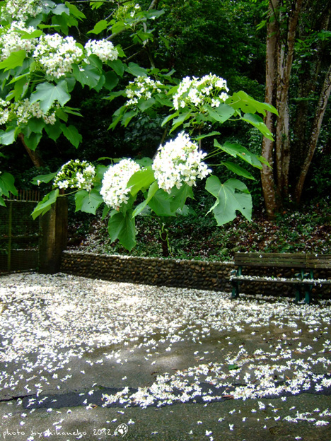DSCF6716 DSCF6716