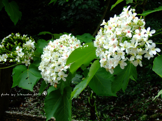 DSCF6717 DSCF6717