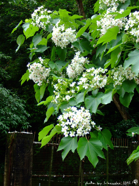 DSCF6718 DSCF6718