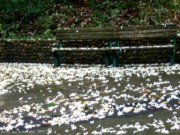 DSCF6720 DSCF6720