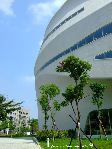 DSCF6978 DSCF6978